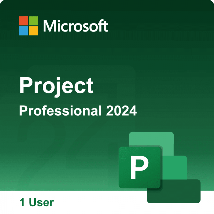 Microsoft Project Professional 2024 – Lifetime License – 1 PC – Email Delivery - Image 1