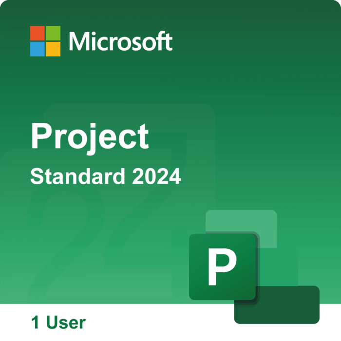 Microsoft Project Standard 2024 – Lifetime License – 1 PC – Email Delivery - Image 1
