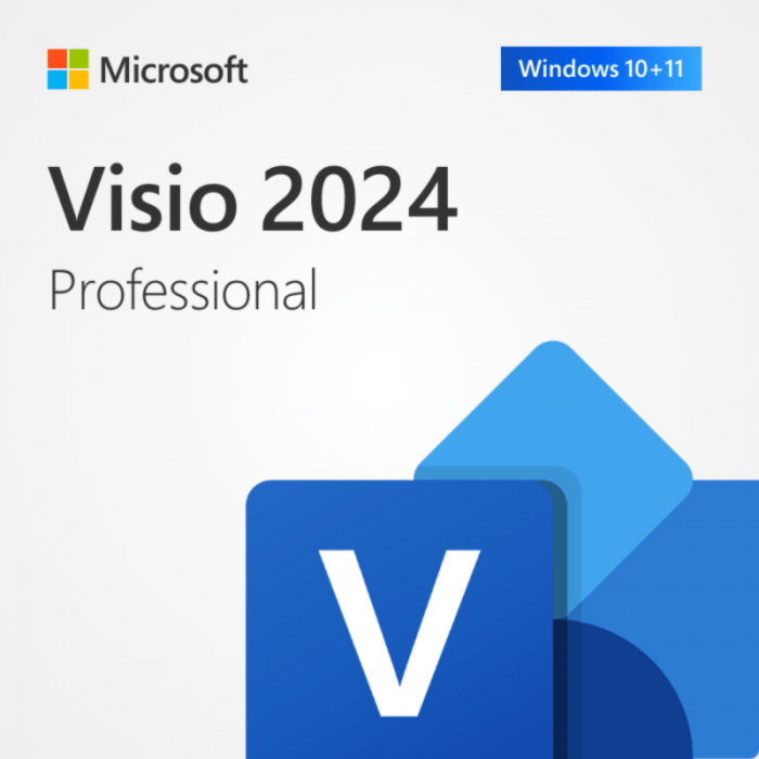 Microsoft Visio Professional 2024 – Lifetime License – 1 PC – Email Delivery - Image 1