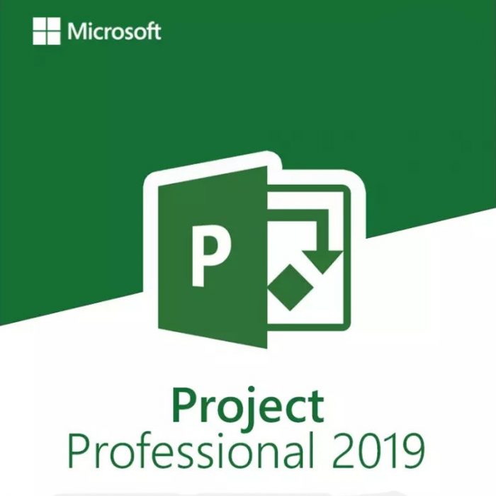 Microsoft Project Professional 2019 – Lifetime License – 1 PC – Email Delivery - Image 1